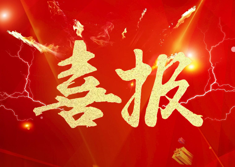 喜报 | 28圈体育显示荣膺LED显示屏行业2019年知名品牌